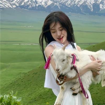 狂鼠 在线观看