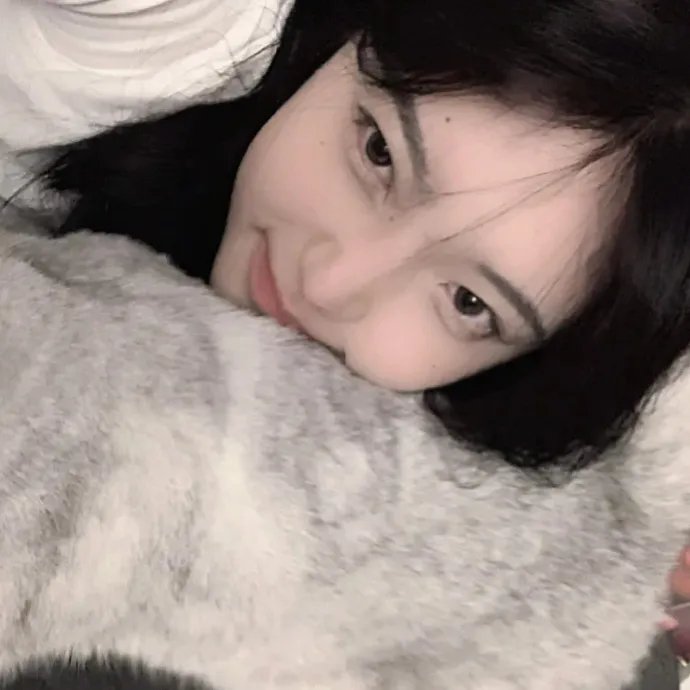 花游记 在线观看